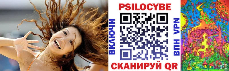Галлюциногенные грибы Psilocybe блэк спрут ссылка Ноябрьск